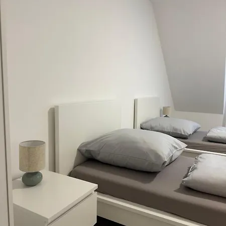 Comfy דירה
